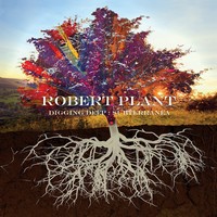 Robert Plant, Digging Deep : Subterranea (MÚSICA)